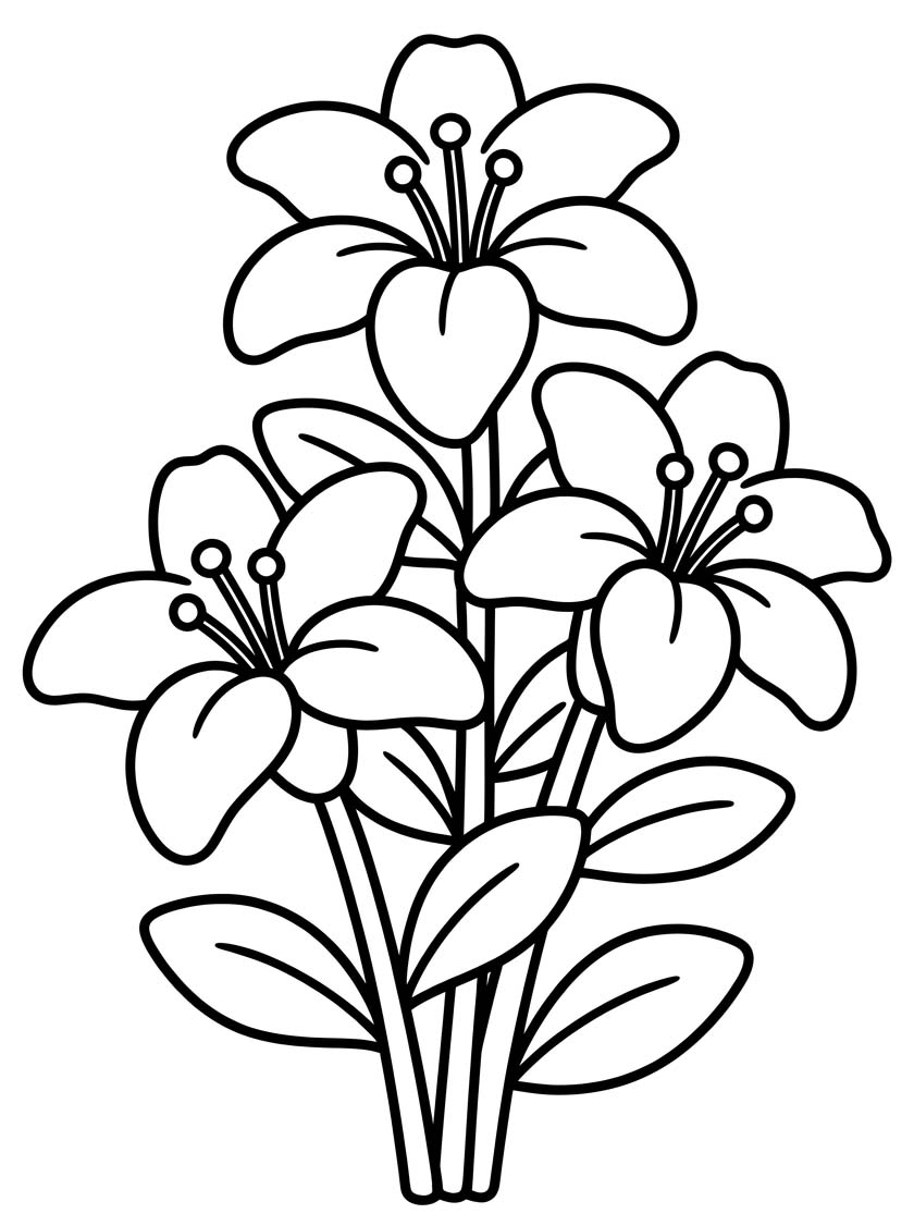 Zeichne Lilien schlicht