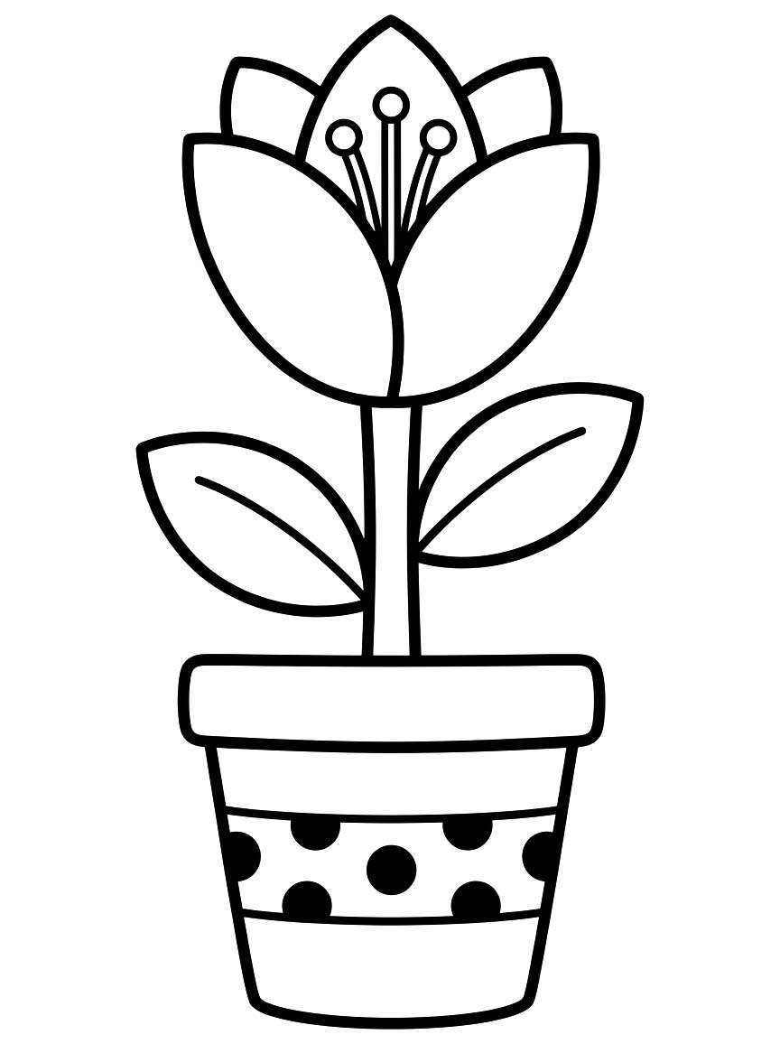 Zeichne Lilien zum Ausdrucken für Kinder