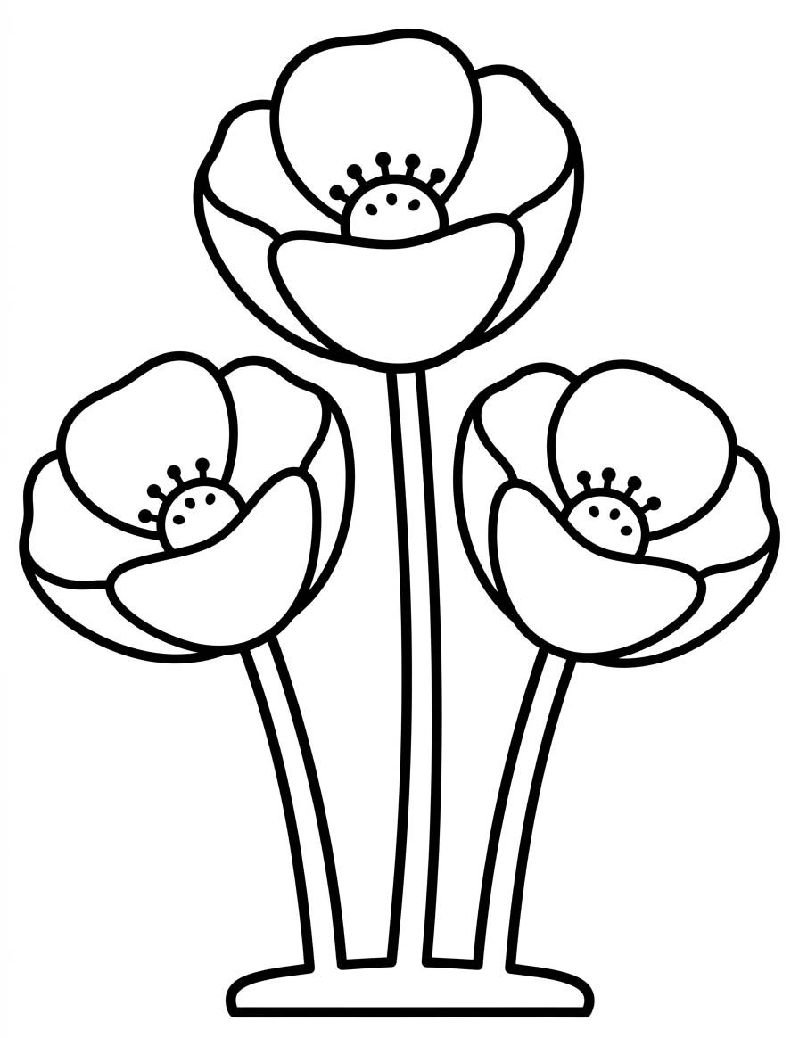 Zeichne Mohnblumen druckbare für Kinder