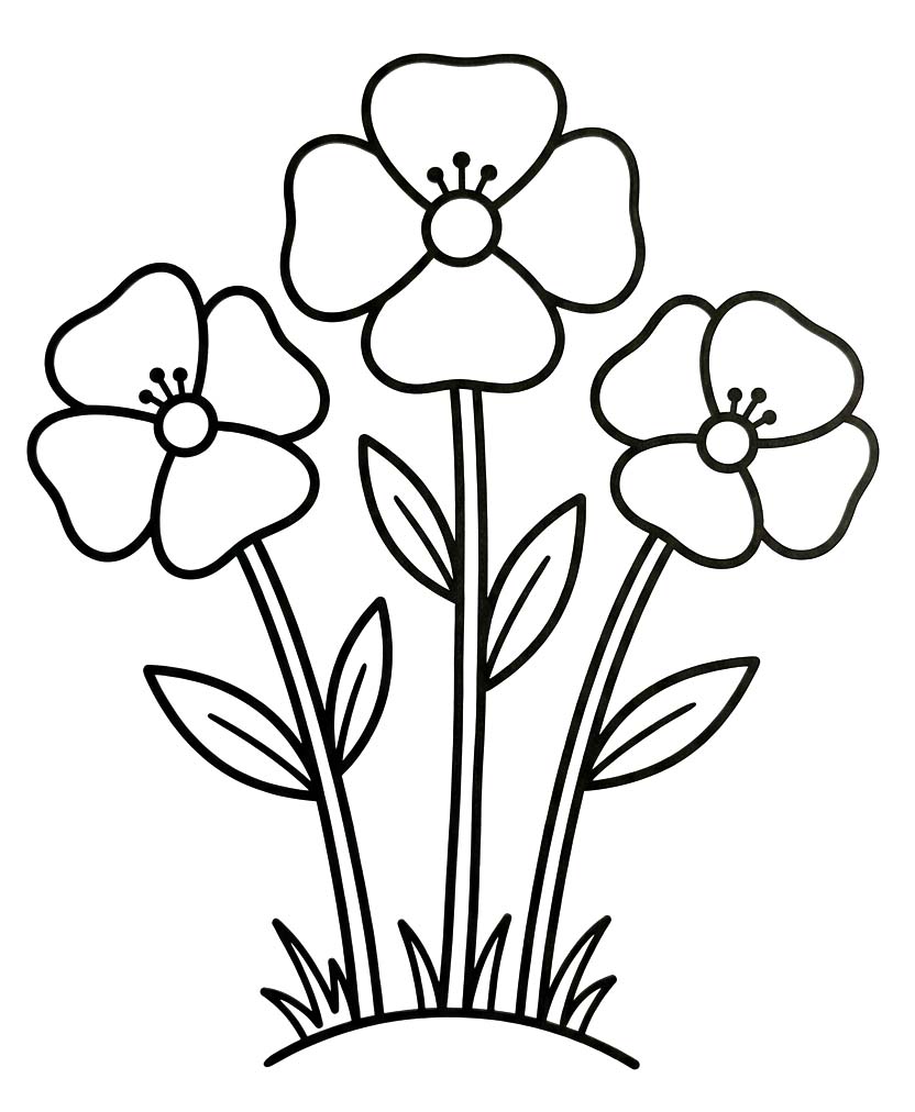 Zeichne Mohnblumen einfach