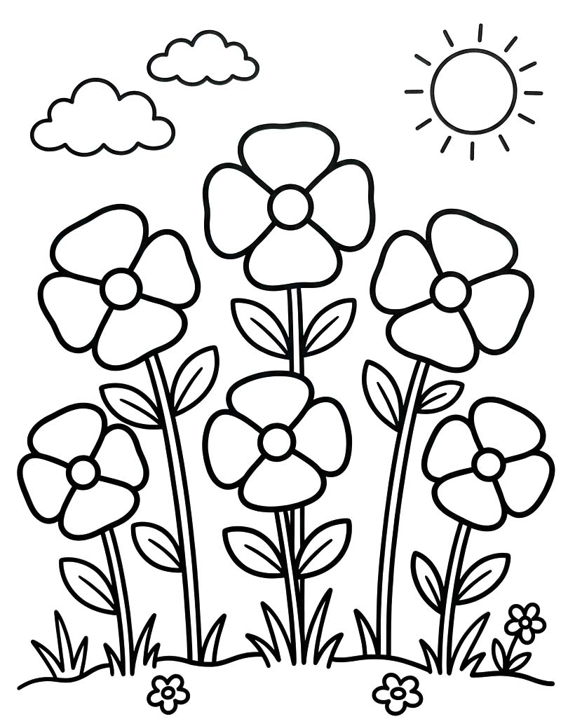 Zeichne Mohnblumen für Kinder
