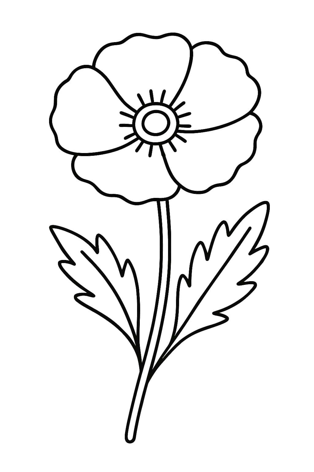 Zeichne Mohnblumen kostenlos druckbare basisch