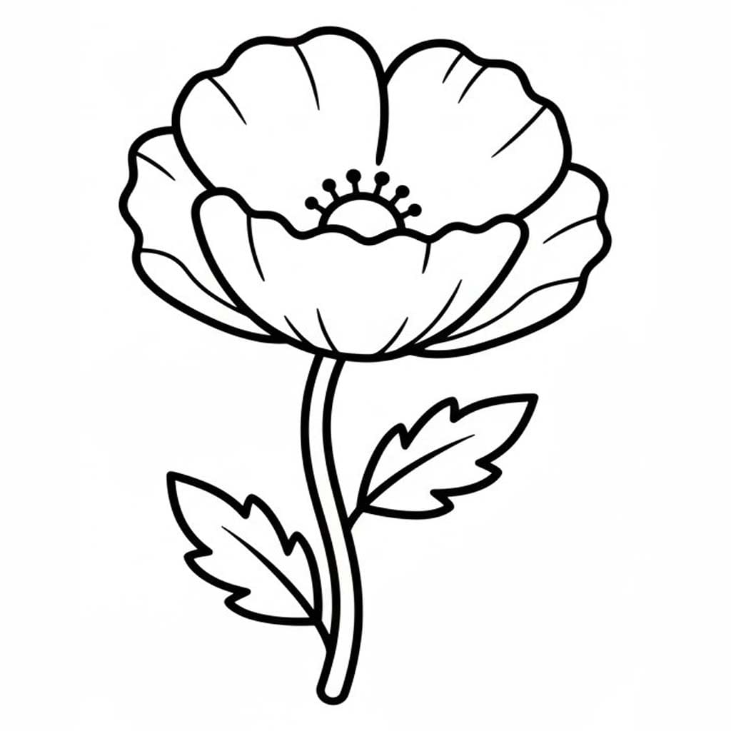 Zeichne Mohnblumen kostenlos druckbare schlicht
