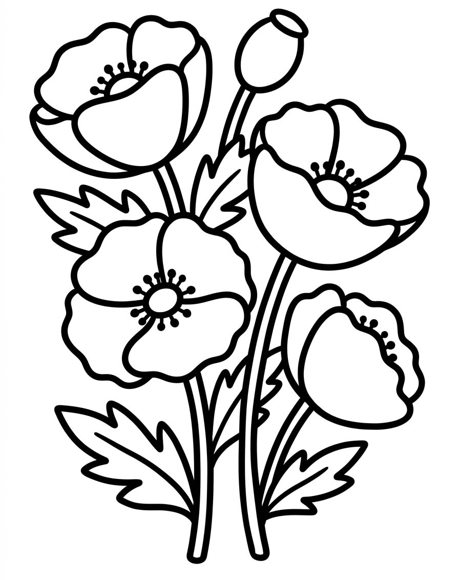 Mohnblumen coloring pages