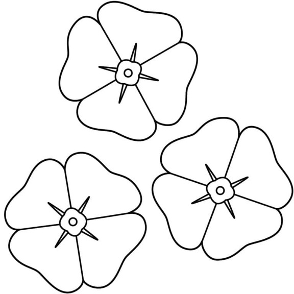 Zeichne Mohnblumen zum Ausdrucken