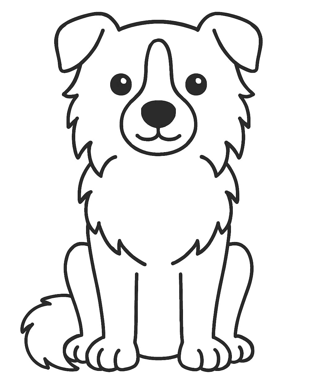 Zum Ausdrucken Border Collie