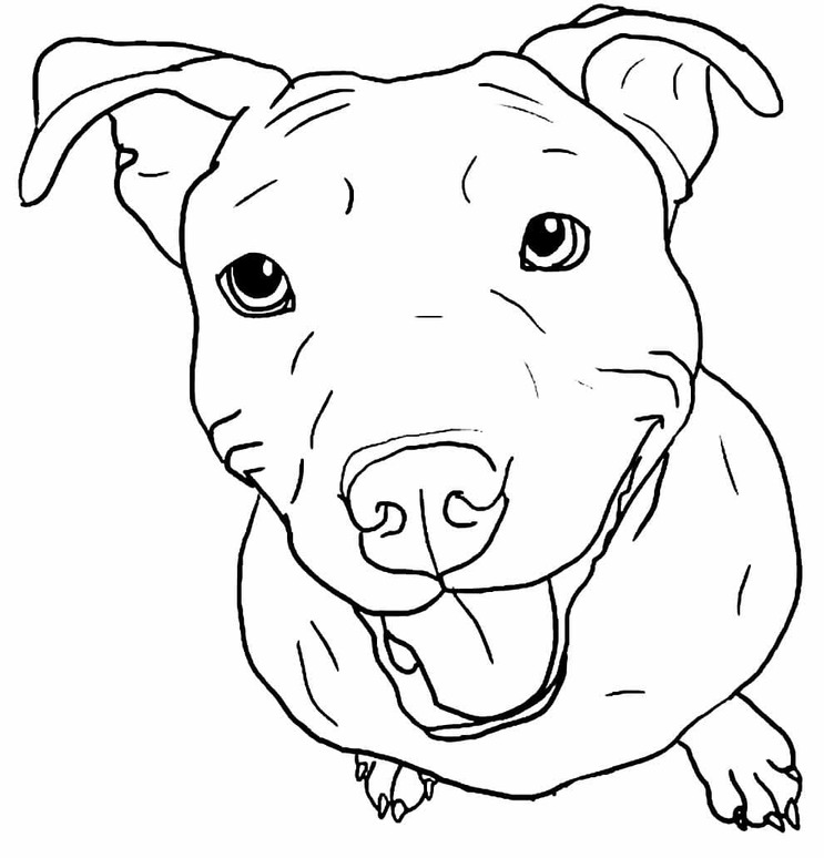 Druckbare Pitbull