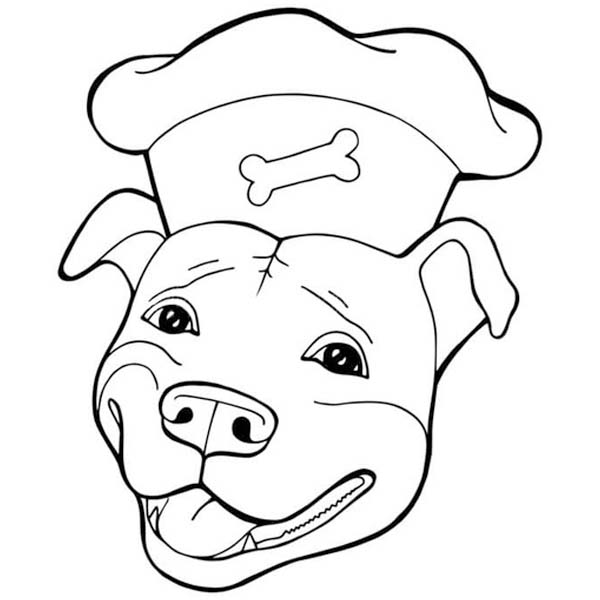 Kostenlos Pitbull