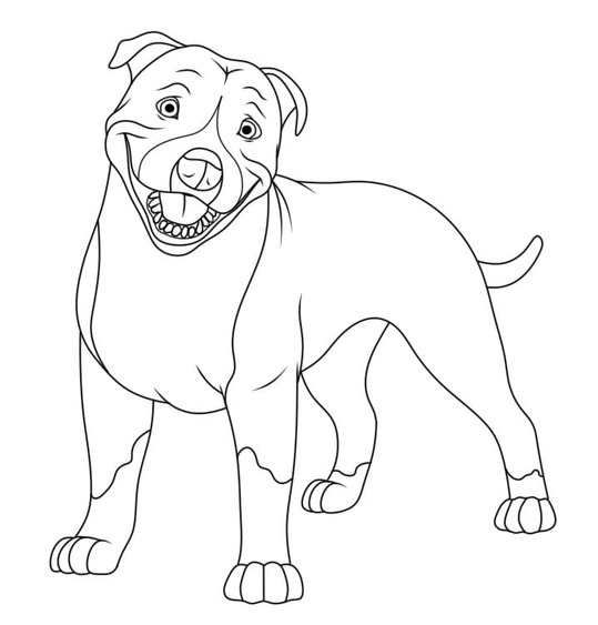 Pitbull druckbare basisch