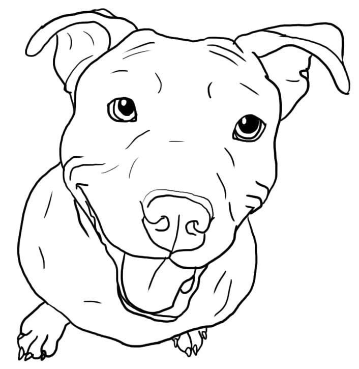 Pitbull druckbare schlicht