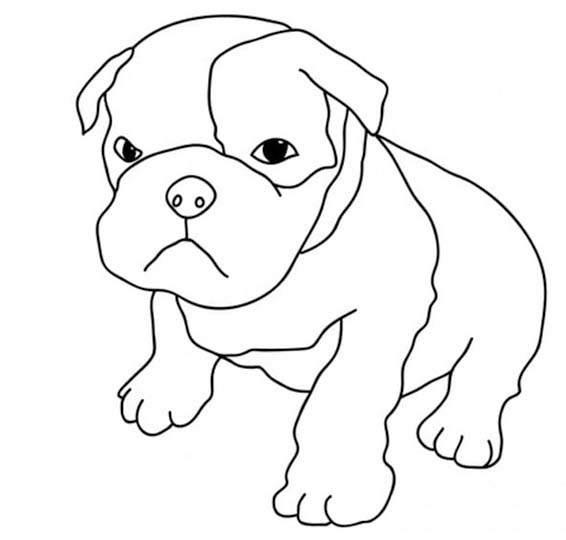 Pitbull kostenlos druckbare