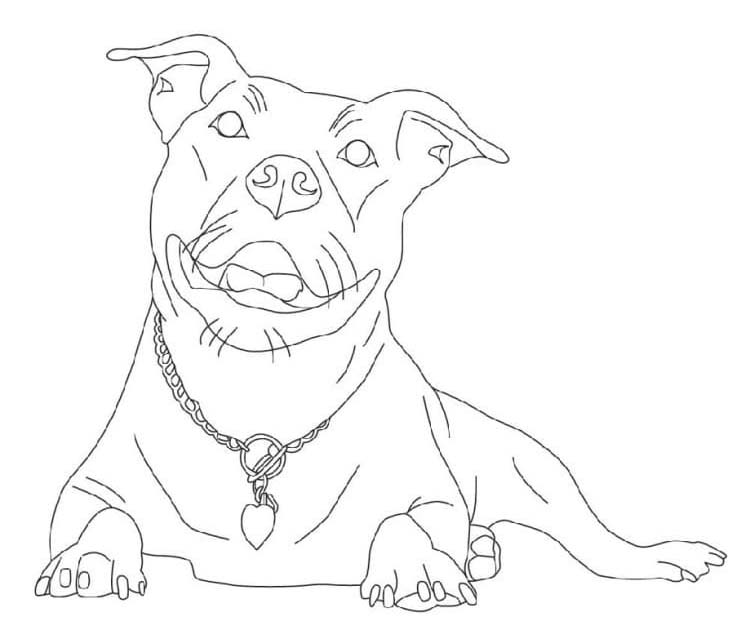 Pitbull kostenlos für Kinder