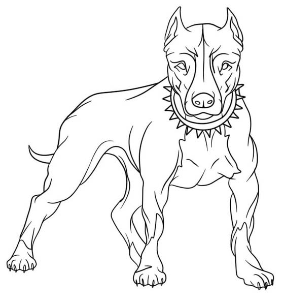 Zeichne Pitbull druckbare basisch