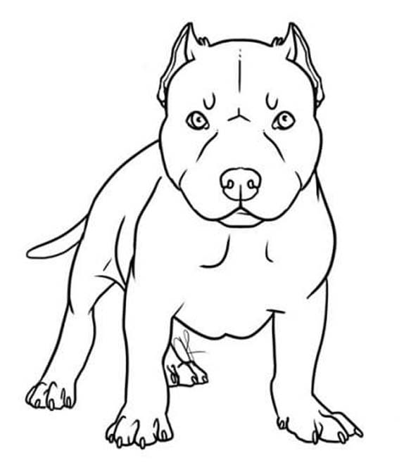 Zeichne Pitbull druckbare schlicht
