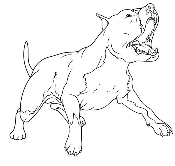 Zeichne Pitbull für Kinder