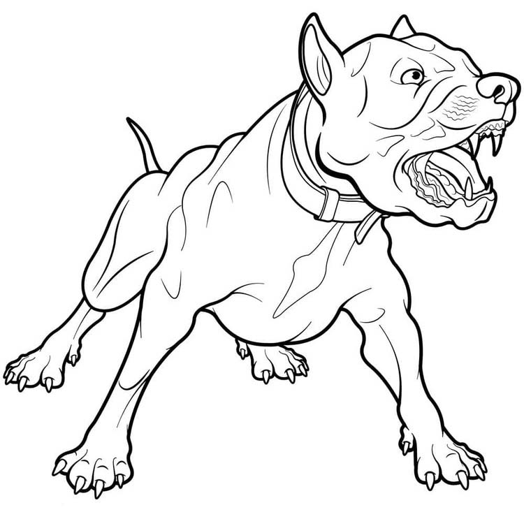 Zeichne Pitbull kostenlos basisch