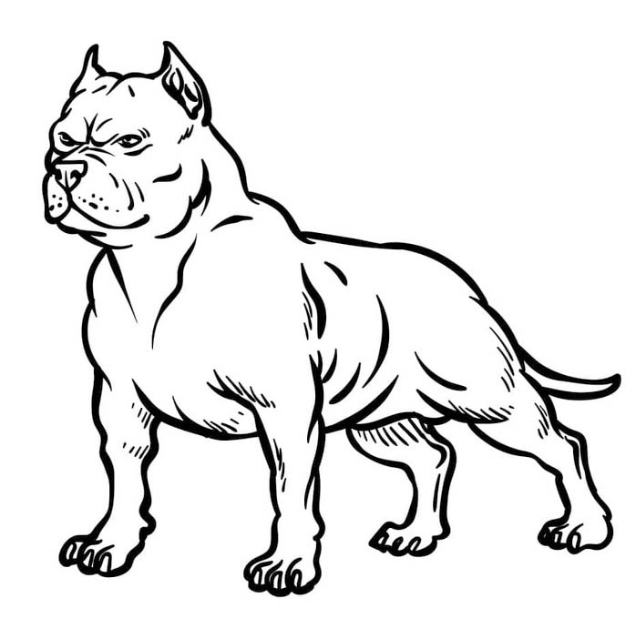 Zeichne Pitbull kostenlos druckbare basisch