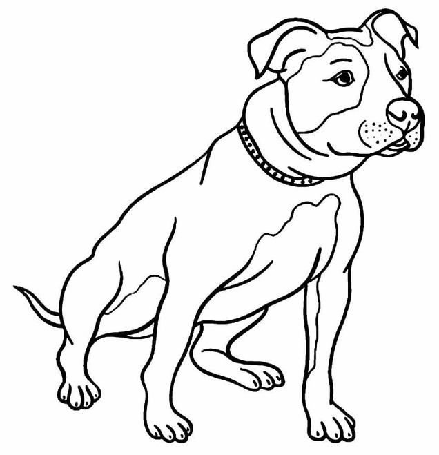 Zeichne Pitbull kostenlos druckbare einfach