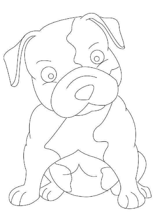Zeichne Pitbull kostenlos schlicht