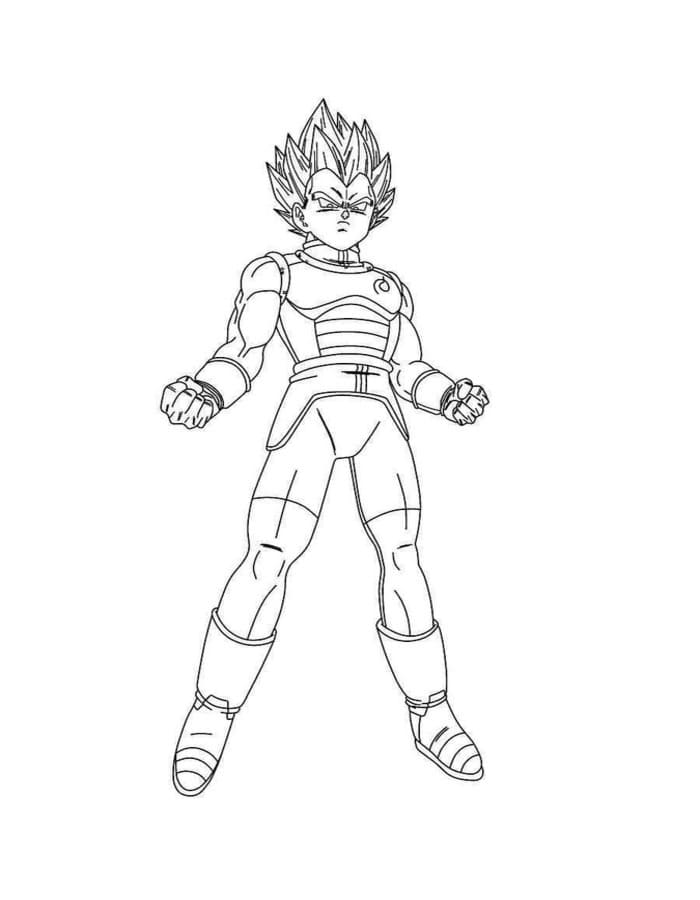 Vegeta druckbare