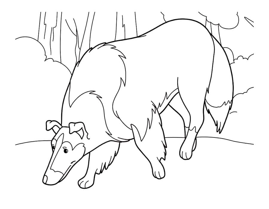 Lassie druckbare