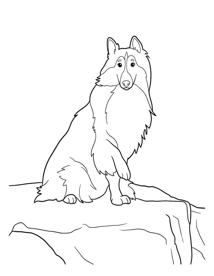Lassie für Kinder