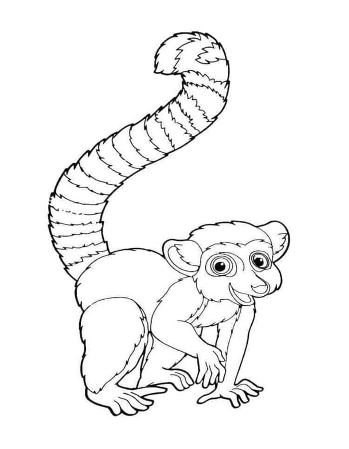 Lemur druckbare schlicht