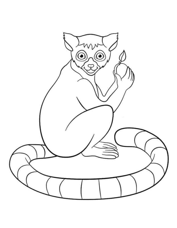 Lemur kostenlos druckbare