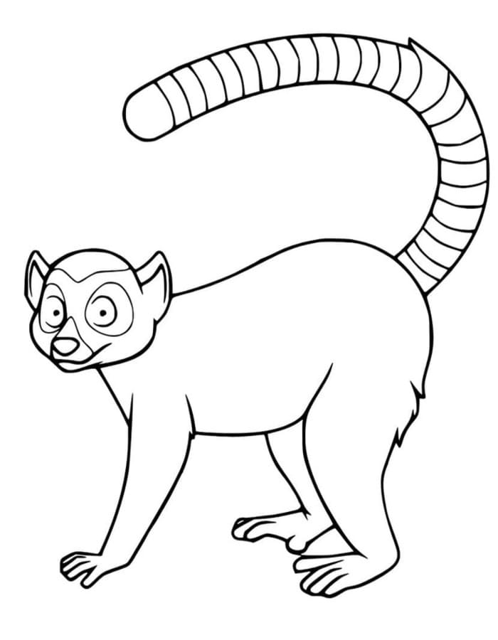 Lemur kostenlos druckbare schlicht