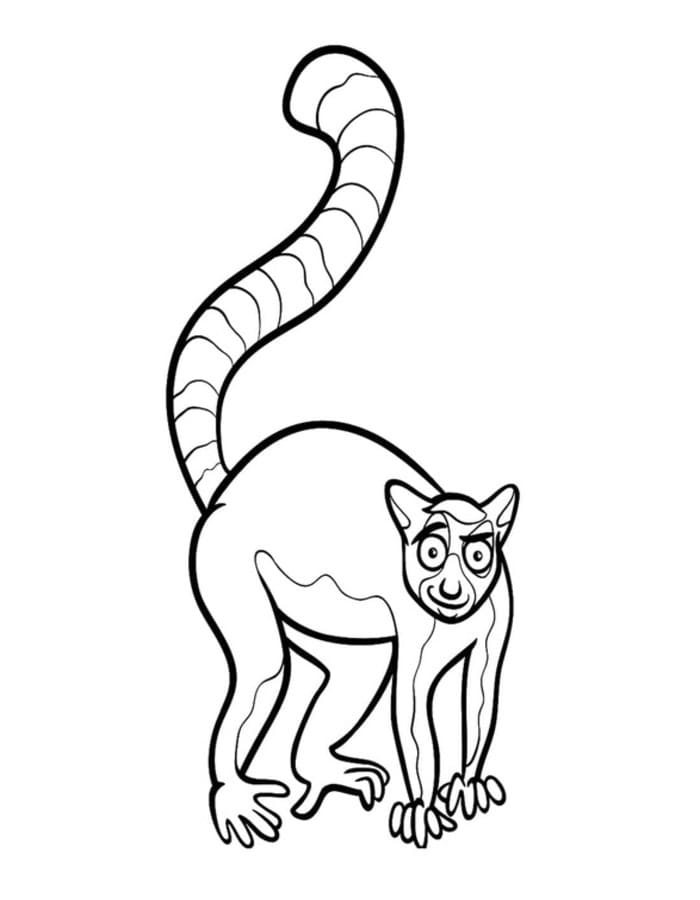 Lemur zum Ausdrucken