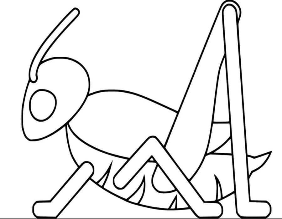 Zeichne Heuschrecken kostenlos für Kinder