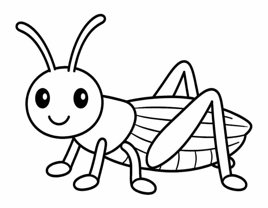 Zeichne Heuschrecken zum Ausdrucken für Kinder