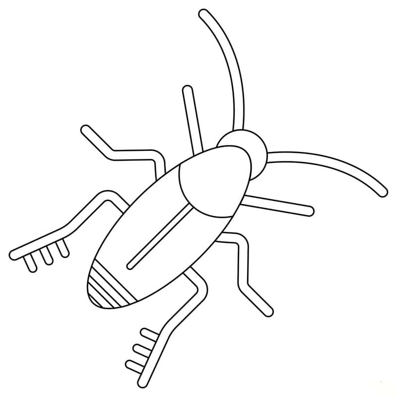 Zeichne Kakerlaken druckbare für Kinder