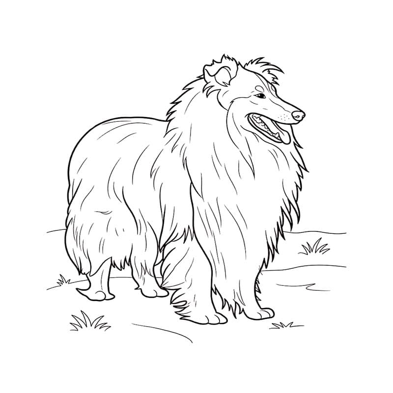 Zeichne Lassie für Kinder