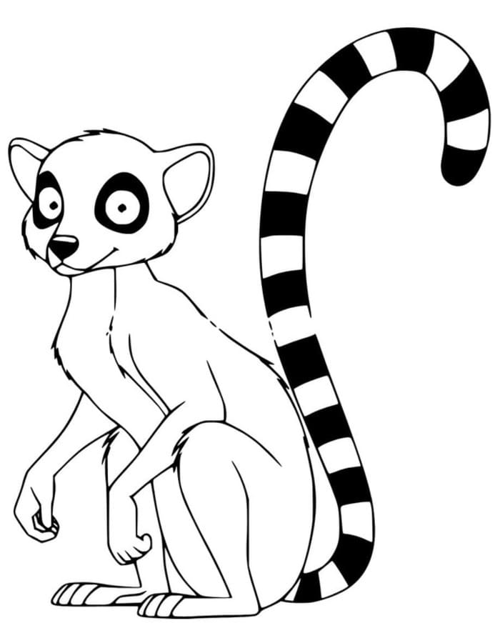Zeichne Lemur druckbare schlicht