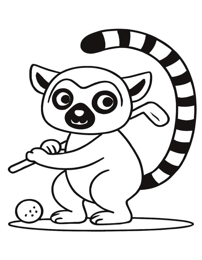 Zeichne Lemur kostenlos druckbare schlicht