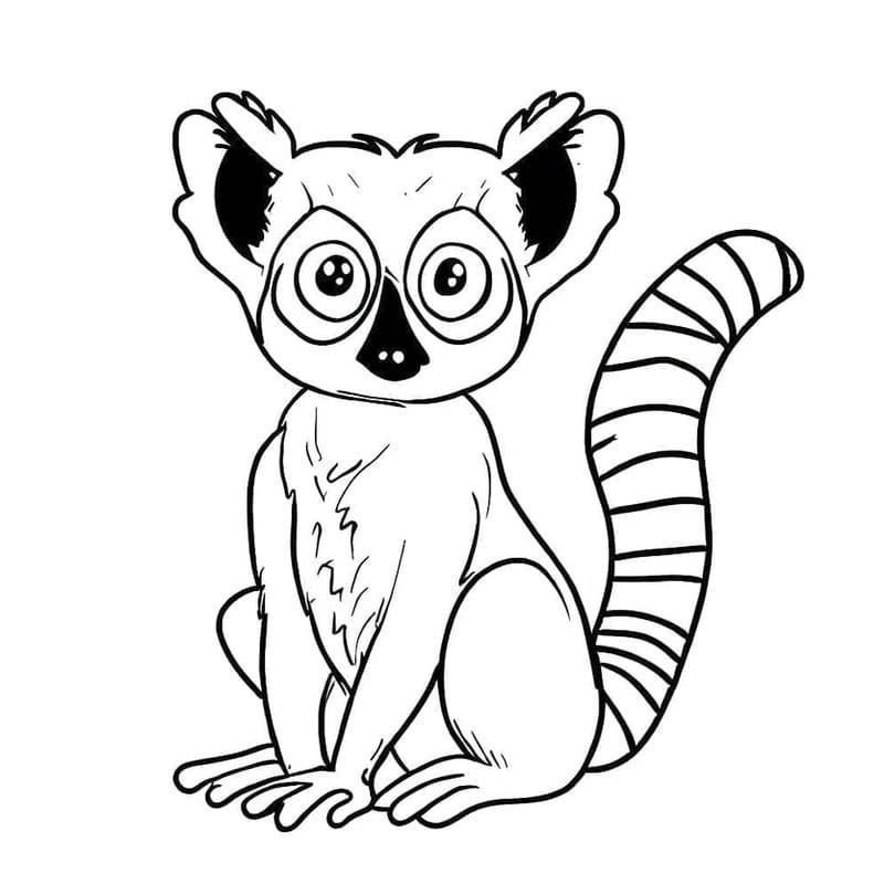 Zeichne Lemur kostenlos einfach