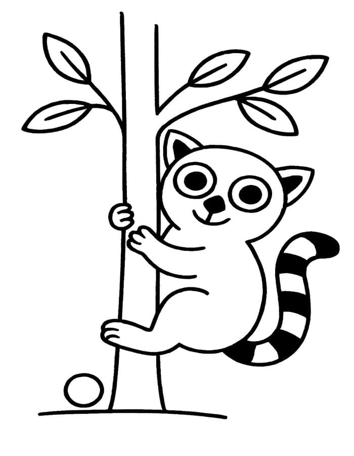 Zeichne Lemur schlicht