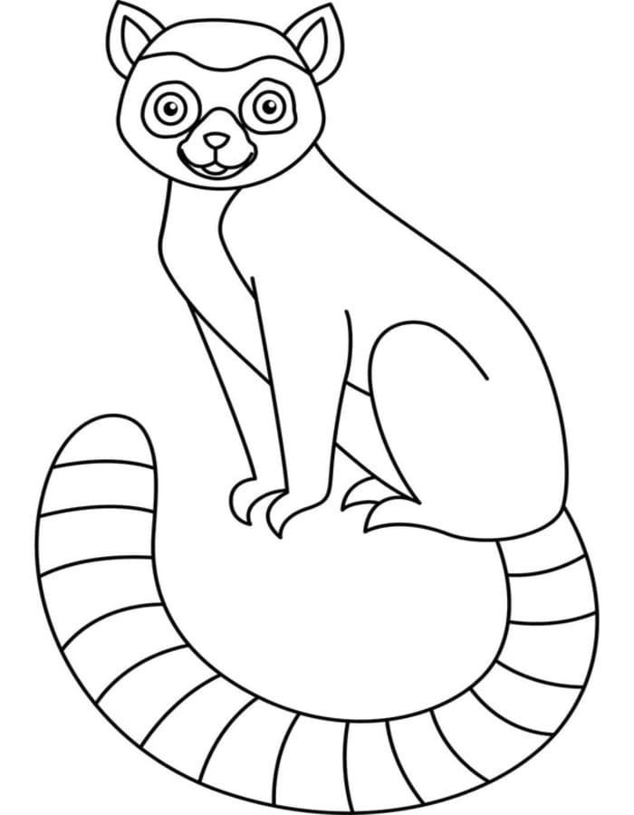 Zeichne Lemur zum Ausdrucken