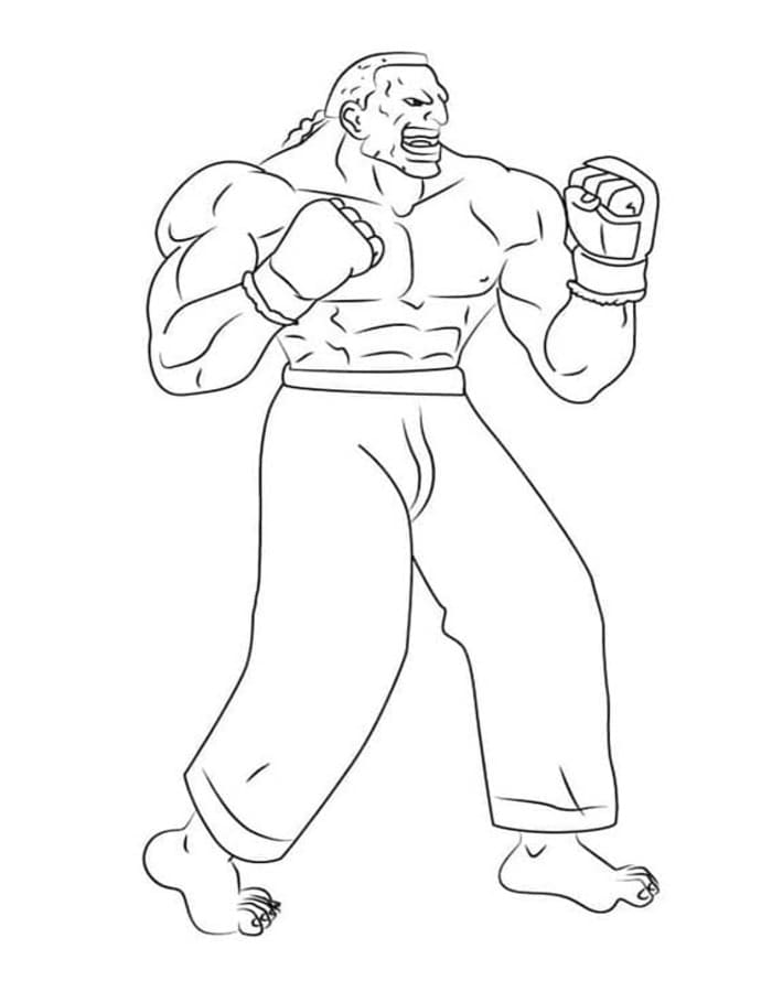 Street Fighter zum Ausdrucken für Kinder