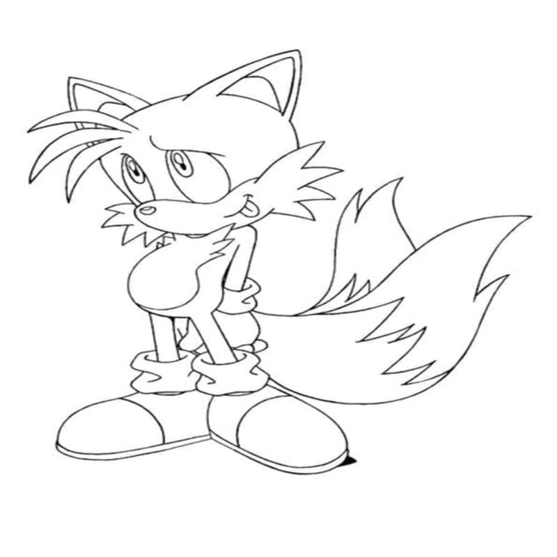 Tails kostenlos basisch
